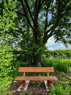 2-image2