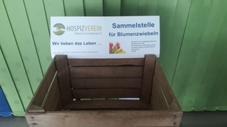 Blumenzwiebel_Aktion
