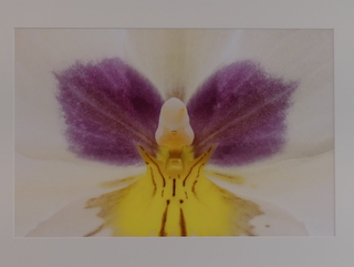 P1170430