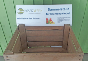 hve_240326_Blumenzwiebeln_klein